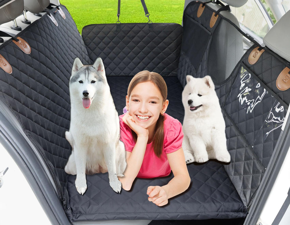 Dog Car Seat Extender